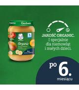 Gerber Organic Banany z jabłkiem, gruszką i brzoskwiniami po 6 miesiącu - 190 g - cena, opinie, wskazania - ważny do 2024-05-31
