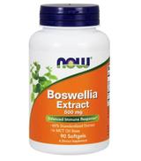 NOW FOODS Boswellia Extract 500 mg - 90 kaps.