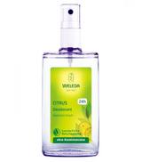 WELEDA CITRUS Dezodorant cytrusowy - 100 ml