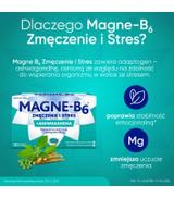 Magne-B6 Zmęczenie i stres, Magnez z ashwagandhą, tabletki, 30 sztuk - ważny do 2025-09-30