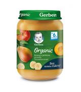 Gerber Organic Banany z jabłkiem, gruszką i brzoskwiniami po 6 miesiącu - 190 g - cena, opinie, wskazania