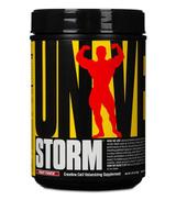 UNIVERSAL Storm Fruit punch - 750 g