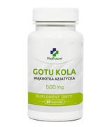 MedFuture Gotu Kola 500 mg, 60 kaps., cena, wskazania, właściwości