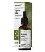 Pharmovit Ekstrakty w kroplach Krążenie żylne, 30 ml, cena, opinie, wskazania