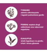 HERBITUSSIN TYMIANEK I PODBIAŁ, 12 pastylek - ważny do 2025-09-30