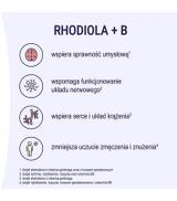 NATURELL Rhodiola + B, 60 tabl.