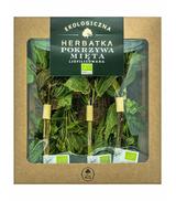 Dary natury Ekologiczna liofilizowana Herbatka Pokrzywa Mięta, 5 x 1,5 g, cena, opinie, skład