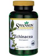 SWANSON Echinacea 400 mg - 180 kaps. Na pobudzenie odporności.