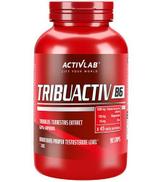 ActivLab Tribuactiv B6 - 90 kaps.- cena, opinie, stosowanie