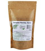 NATUR PLANET Ostropest plamisty ziarno, 250 g  - ważny do 2025-10-31