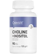 OstroVit Choline + Inositol - 90 tabl. - cena, opinie, wskazania