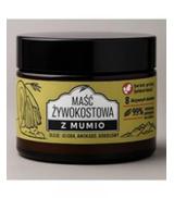 Nami Magiczne Mumio Maść z żywokostem, 70 ml