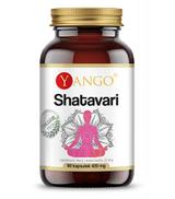 Yango Shatavari ekstrakt 10:1, 90 kaps. cena, opinie, właściwości
