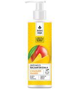 Botanic Origin Odżywczy balsam do ciała z masłem mango, 300 ml, cena, opinie, skład