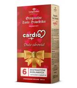 Langsteiner, Oryginalne Zioła Szwedzkie, Cardio, 500 ml