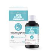 DOMOWA APTECZKA Syrop z porostu islandzkiego, 165 ml
