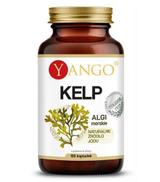 Yango Kelp - 100 kaps. - cena, opinie, wskazania