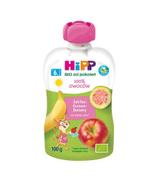 HiPP BIO od pokoleń, Jabłka-Guawa-Banany, po 6. m-cu, 100 g, cena, wskazania, skład