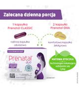 Prenatal Duo, 30 kapsułek Classic + 60 kapsułek DHA