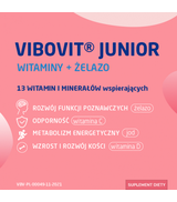 VIBOVIT JUNIOR Truskawkowy - 14 sasz. - ważny do 2025-05-31