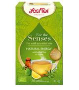 Yogi Tea For the Senses Herbata biała z ziołami i olejkami eterycznymi Natural Energy, 20 sasz., cena, opinie, właściwości