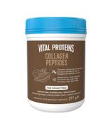 Vital Proteins Collagen Peptides kakao, proszek, 297 g