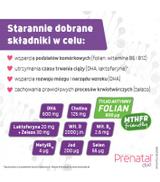 Prenatal Duo, 30 kapsułek Classic + 60 kapsułek DHA