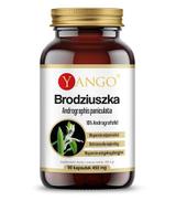 Yango Brodziuszka Andrographis paniculata, 90 kaps. cena, opinie, właściwości