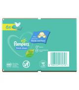 Pampers Fresh Clean chusteczki nawilżane, 6 x 80 szt., cena, opinie, skład