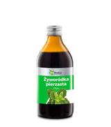 EKAMEDICA Żyworódka pierzasta, 250 ml - ważny do 2025-07-10