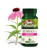 HERBAYA Echinacea - 60 kaps.