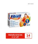 VIBOVIT JUNIOR Truskawkowy - 14 sasz. - ważny do 2025-05-31