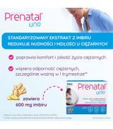 PRENATAL UNO składniki odżywcze dla ciężarnych, kapsułki, 30 sztuk