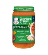 Gerber Organic for Baby Plant - Tastic Marokański gulasz warzywny po 12. miesiącu, 250 g, cena, opinie, składniki