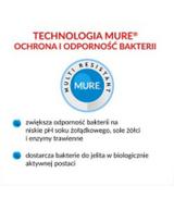 Multilac, synbiotyk (probiotyk + prebiotyk), , kapsułki, 20 sztuk