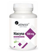 ALINESS Niacyna 500 mg  - 100 kaps.