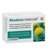 Mitopharma Rhodiola-Intercell - 60 kaps. - cena, opinie, właściwości