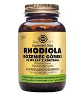 SOLGAR RHODIOLA RÓŻENIEC GÓRSKI - 60 kaps.