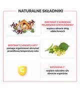 PELAVO MULTI 3+ Syrop - 120 ml - ważny do 2025-09-30