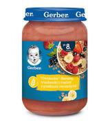 Gerber Owsianka banany, truskawki i maliny z płatkami owsianymi po 8 miesiącu - 190 g - cena, opinie, właściwości