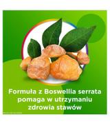 CENTRUM Active Move, 30 kapsułek - ważny do 2025-10-31