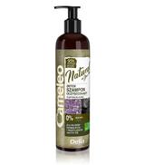 Cameleo Natural Detox Szampon oczyszczający - 250 ml Do włosów normalnych i przetłuszczających się - cena, opinie, stosowanie