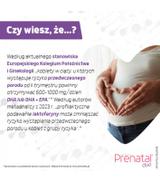 Prenatal Duo, 30 kapsułek Classic + 60 kapsułek DHA