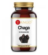 Yango Chaga 440 mg, 90 kaps., cena, opinie, właściwości