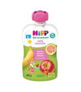 HiPP BIO od pokoleń, Jabłka-Guawa-Banany, po 6. m-cu, 100 g, cena, wskazania, skład - ważny do 2025-07-14