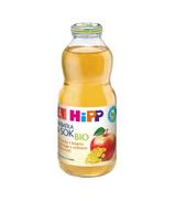 HiPP BIO Herbatka & Sok Bio Herbatka z kopru włoskiego z sokiem jabłkowym po 4 miesiącu - 500 ml