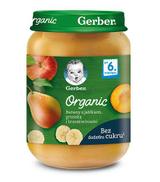 Gerber Organic Banany z jabłkiem, gruszką i brzoskwiniami po 6 miesiącu - 190 g - cena, opinie, wskazania