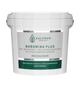 BOROWINA PLUS Pasta - 1 kg