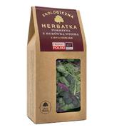Dary natury Ekologiczna liofilizowana Herbatka Pokrzywa z borówką wysoką, 20 g, cena, opinie, stosowanie - ważny do 2025-09-02