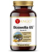 Yango Boswellia 65, 90 kapsułek